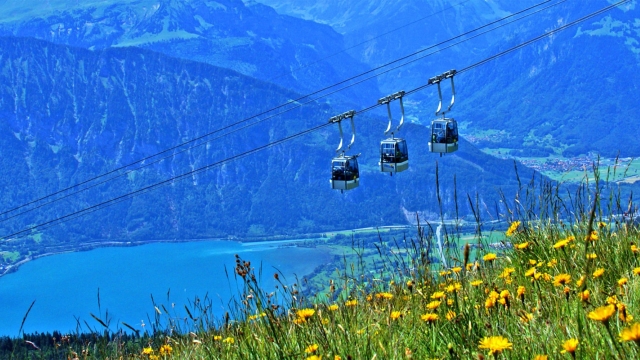 niederhorn thunersee beatenberg ausflugstipp mamilade