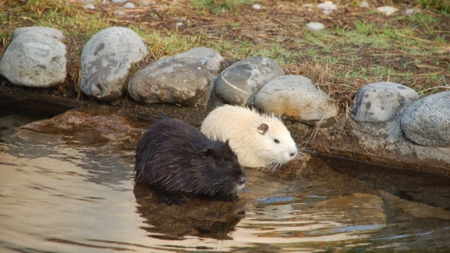 tierpark erlebnis seeteufel ausflugstipp mamilade